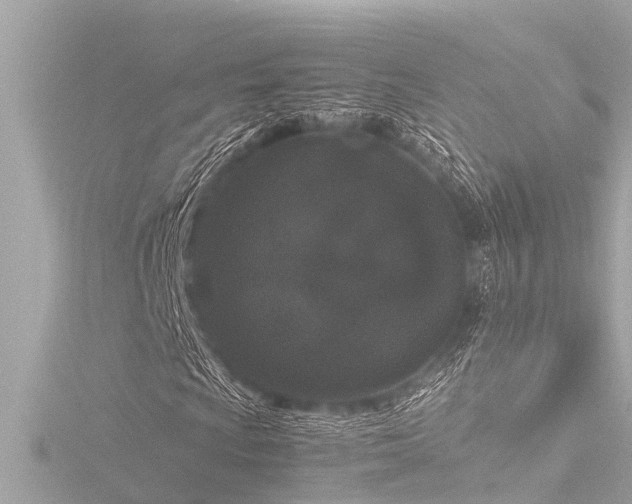 X0000116781009200912171527