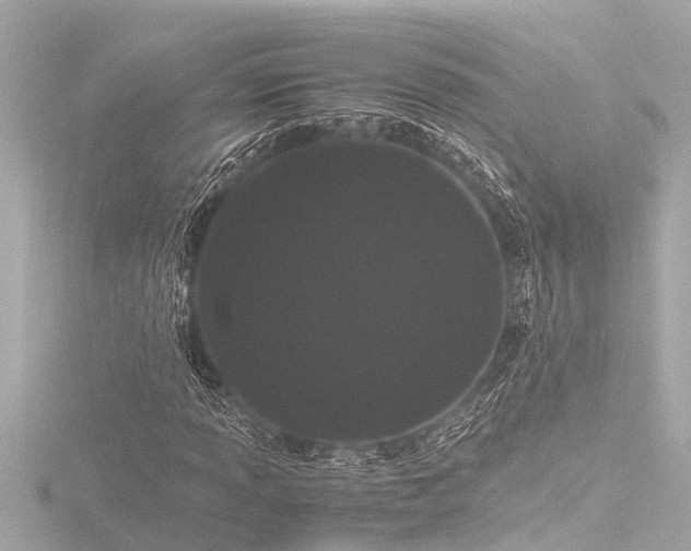 X0000116781013200912171527