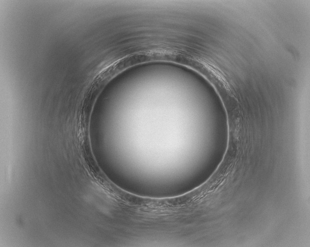 X0000116781015200912171527