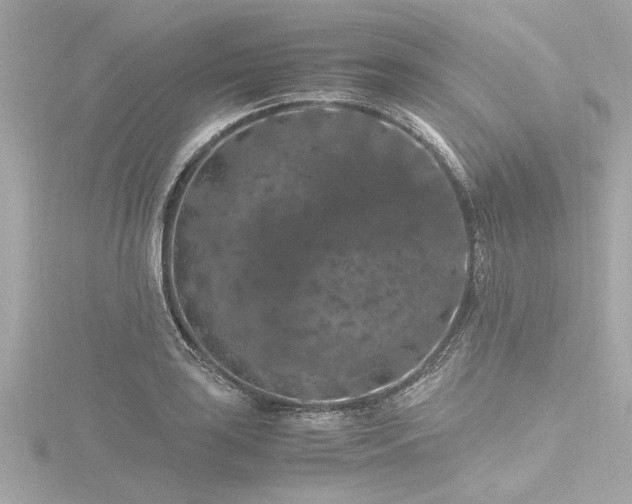 X0000116781035200912171527