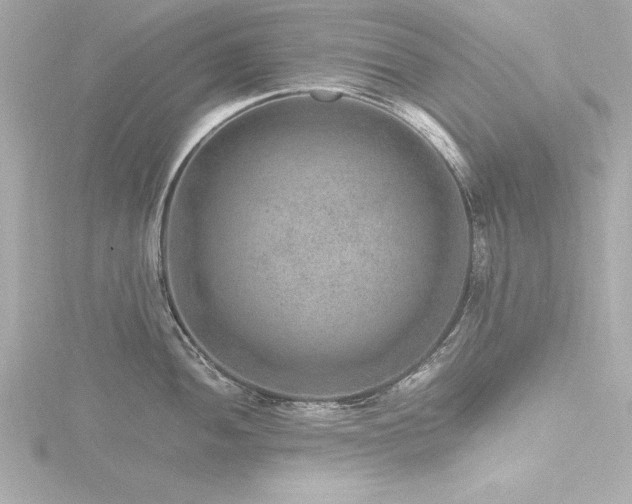 X0000116781052200912171528