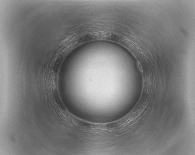 X0000116781058200912171527