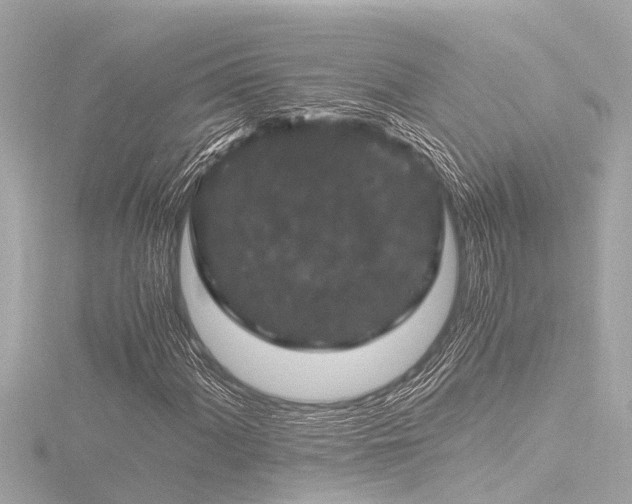 X0000116781060200912171527