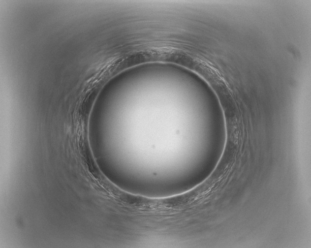 X0000116781061200912171527