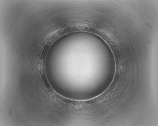 X0000116781062200912171527