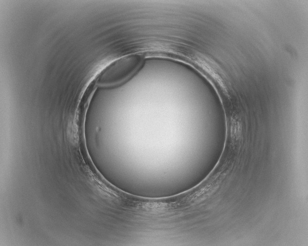 X0000116781068200912171527