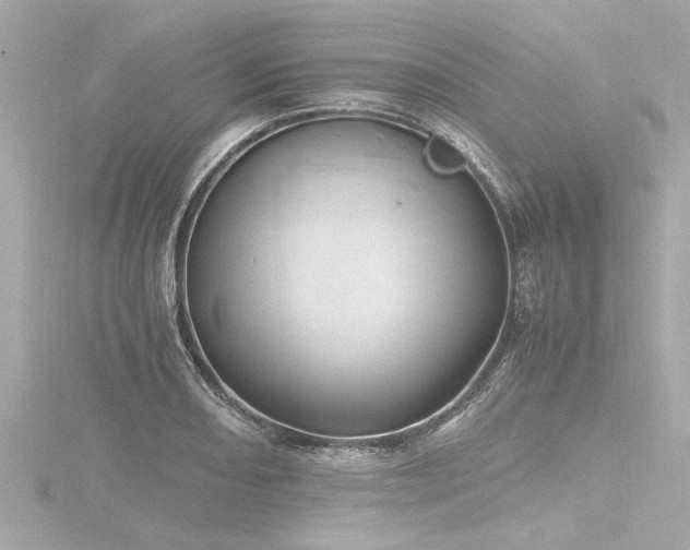 X0000116781082200912171527