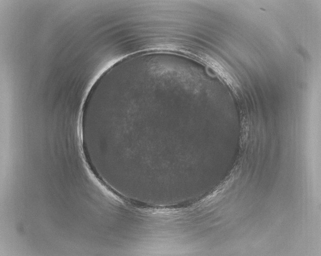 X0000116781084200912171527