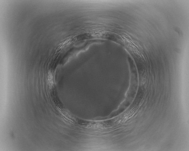 X0000116781106200912171526