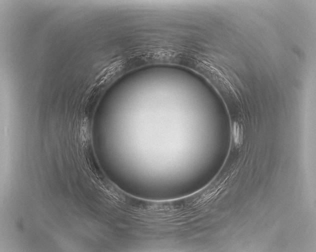 X0000116781107200912171526