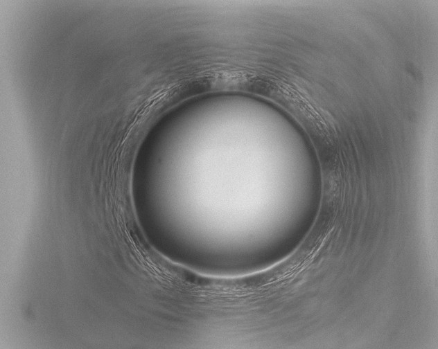 X0000116781153200912171526