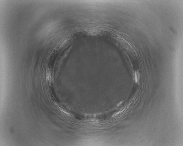 X0000116781155200912171526