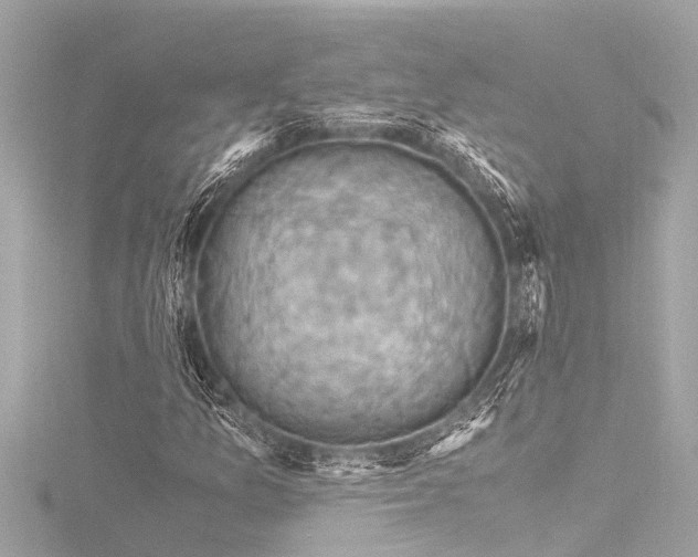 X0000116781157200912171526