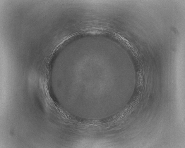 X0000116781158200912171526