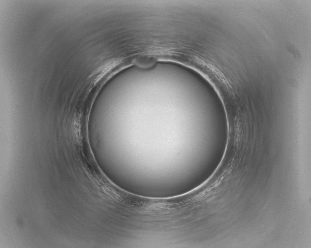 X0000116781162200912171526