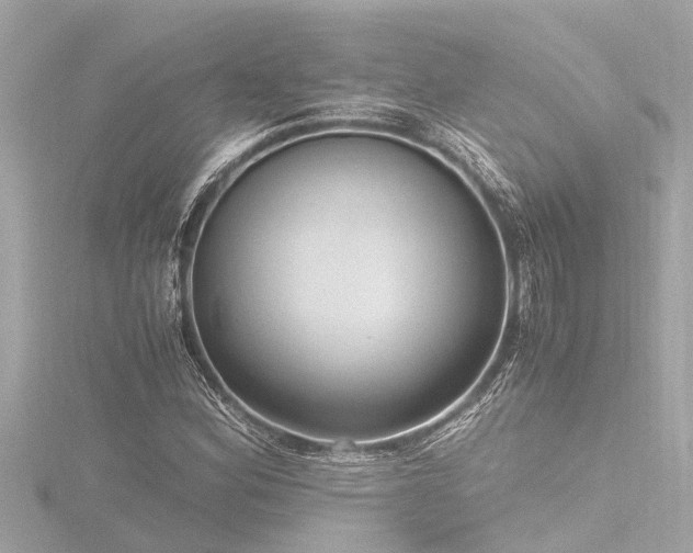 X0000116781164200912171526