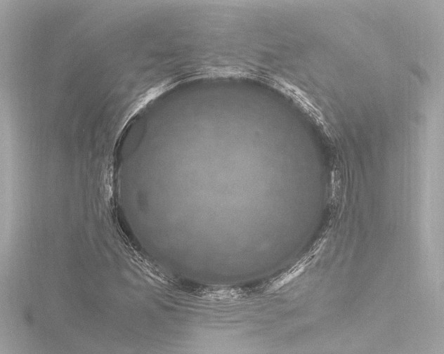 X0000116781165200912171526
