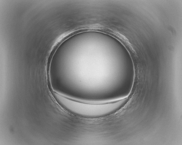 X0000116781176200912171526