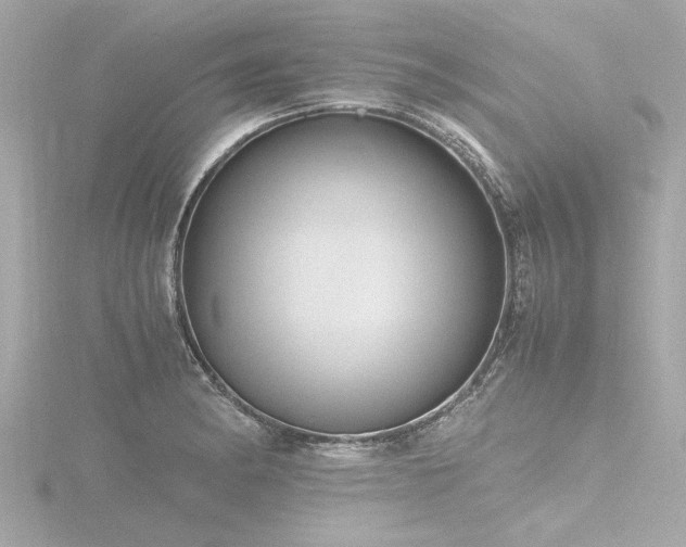 X0000116781182200912171525