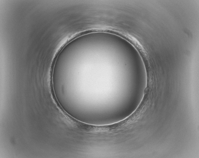 X0000116781183200912171525