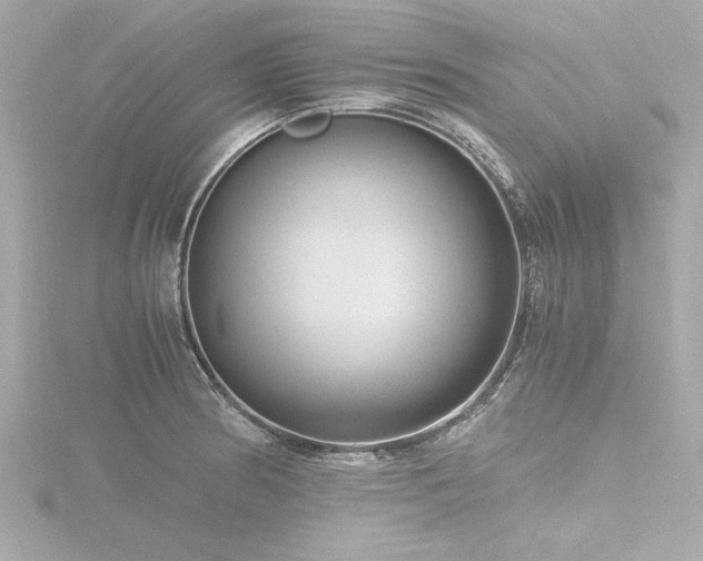 X0000116781186200912171525