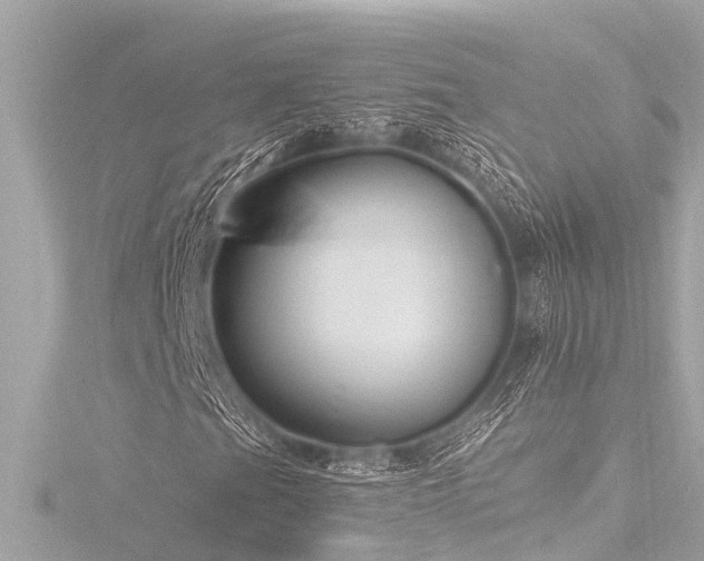 X0000116781201200912171525