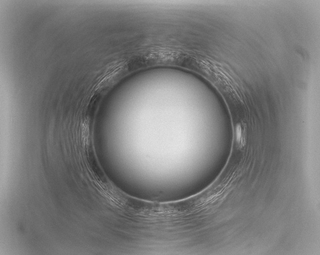 X0000116781203200912171525
