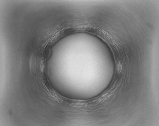 X0000116781204200912171525