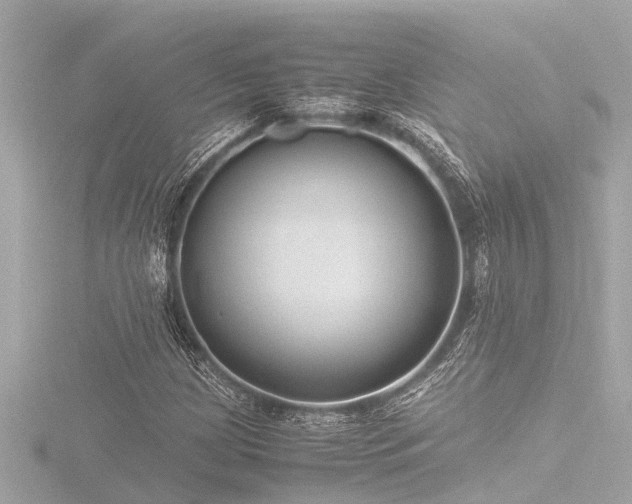 X0000116781209200912171525