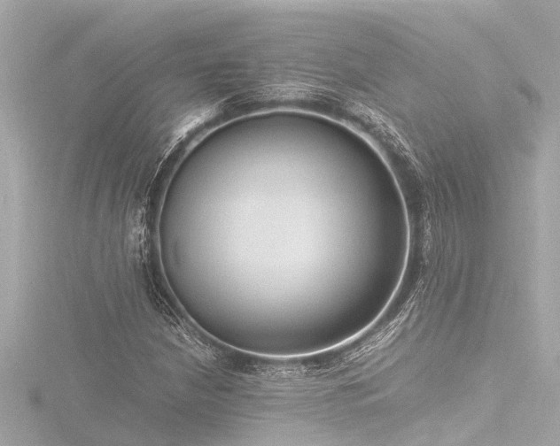 X0000116781210200912171525