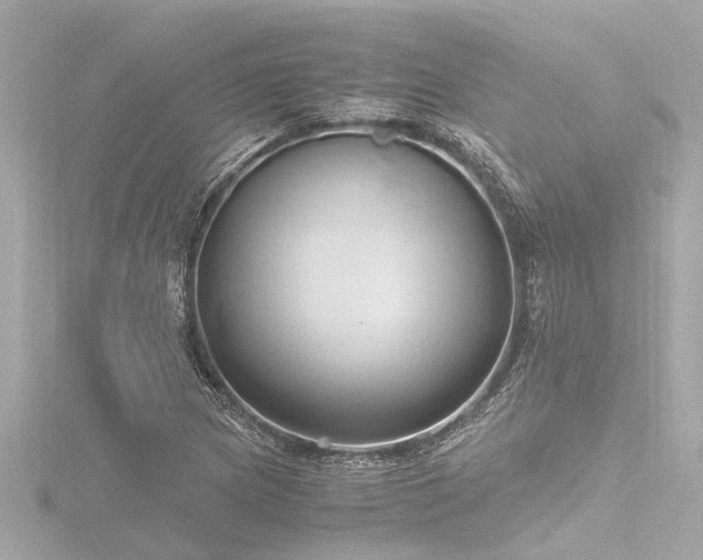 X0000116781217200912171525