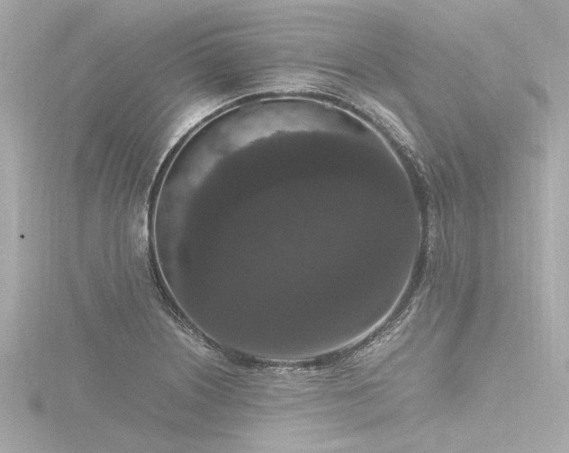X0000116781226200912171525