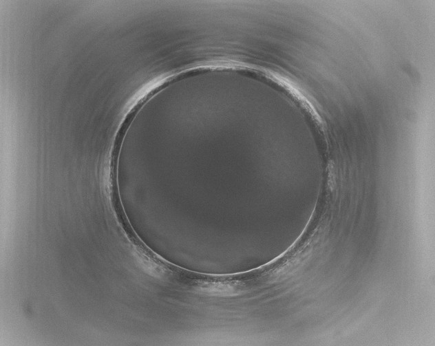 X0000116781229200912171525