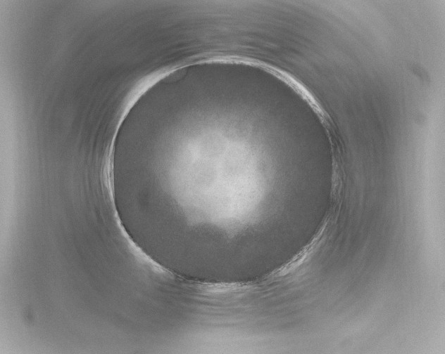 X0000116781247200912171525