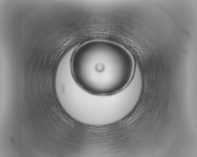 X0000116781252200912171525