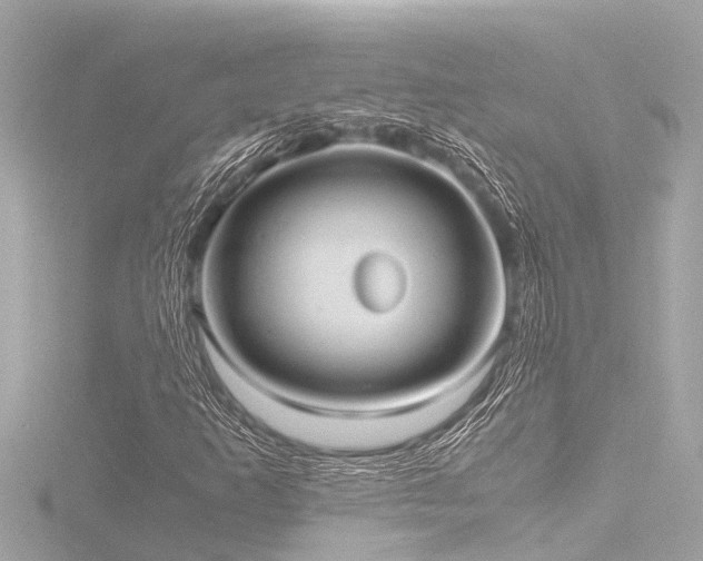 X0000116781253200912171525