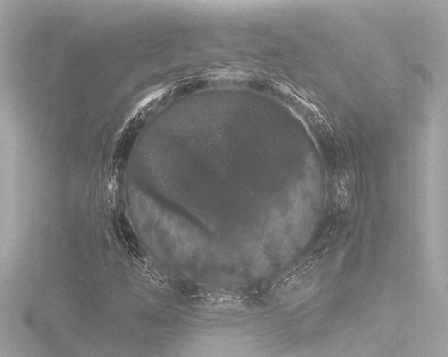 X0000116781254200912171525