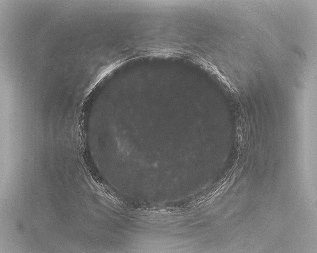 X0000116781256200912171525
