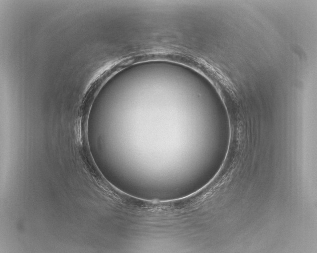 X0000116781262200912171524