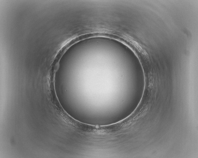 X0000116781264200912171524