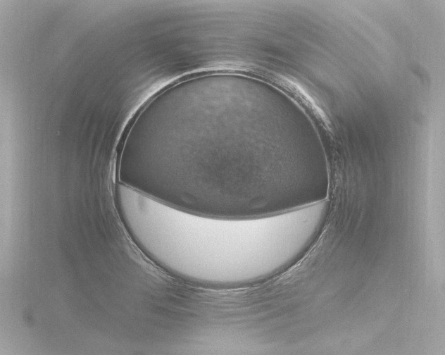 X0000116781276200912171524