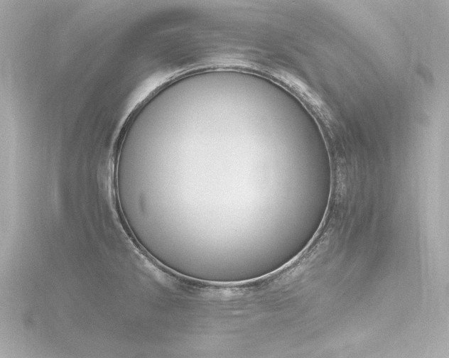 X0000116781286200912171524