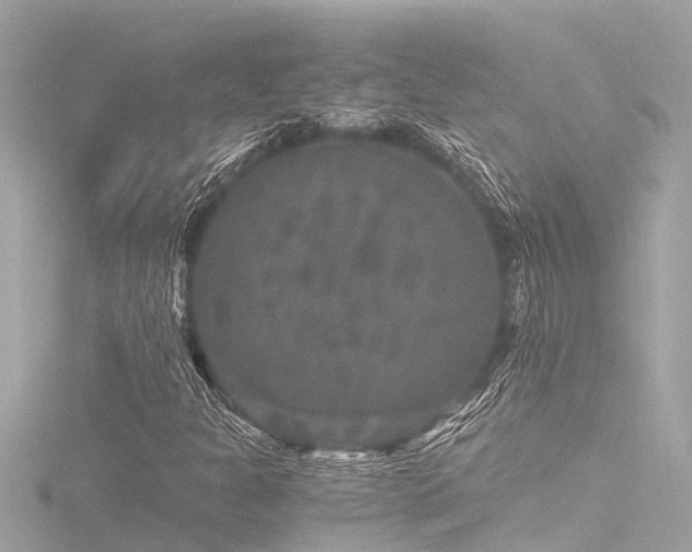 X0000116781301200912171523