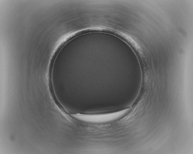 X0000116781327200912171524
