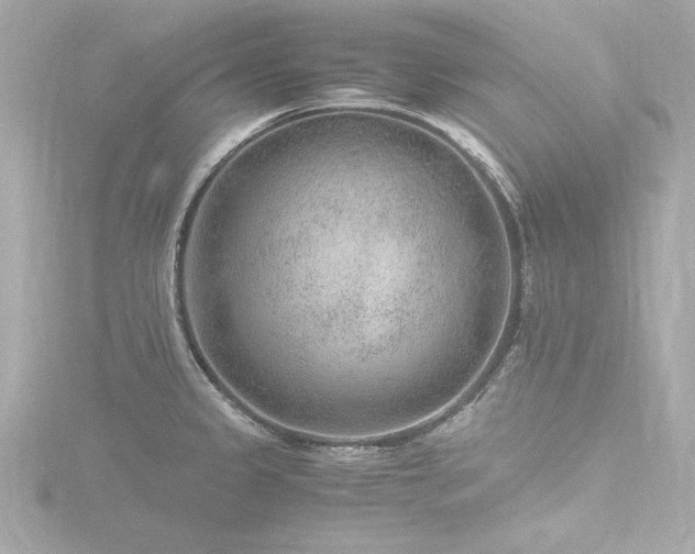 X0000116781333200912171524