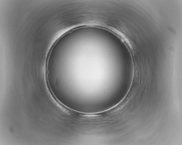 X0000116781343200912171524