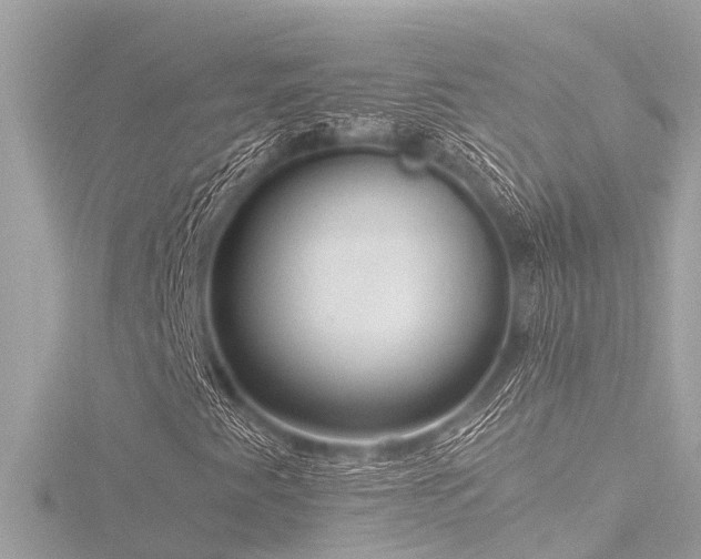 X0000116781345200912171523