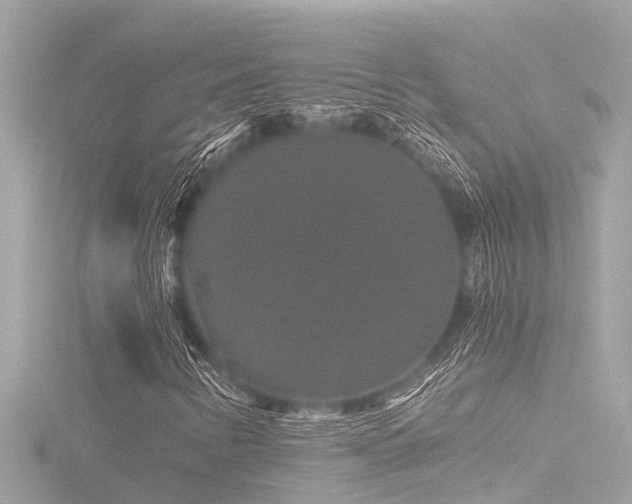 X0000116781346200912171523