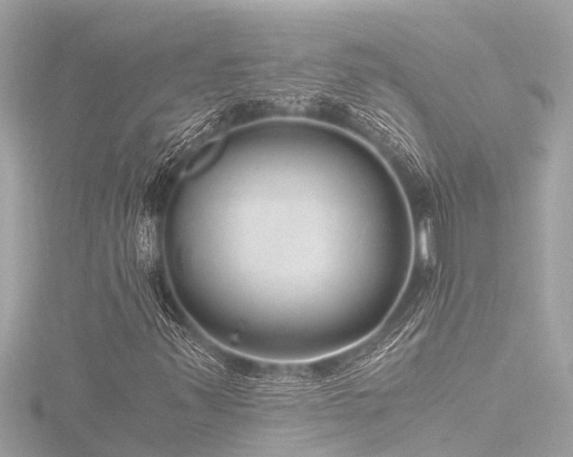 X0000116781347200912171523