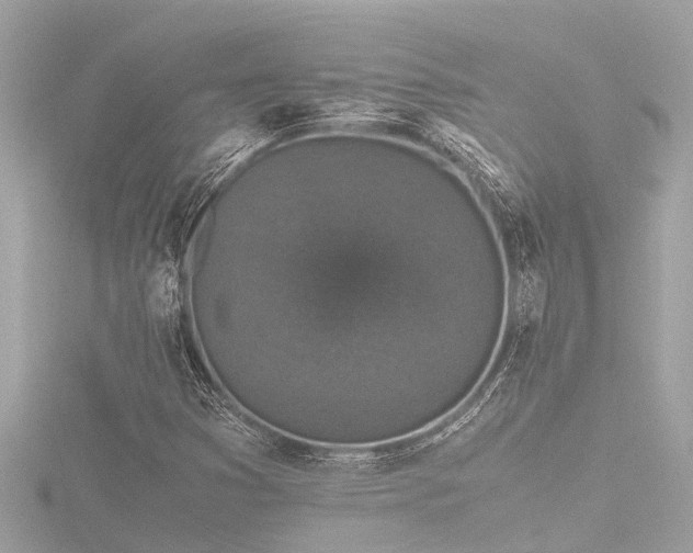 X0000116781353200912171523